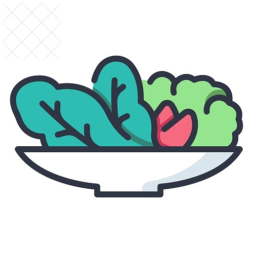 Dish, food, healthy, organic, salad icon.