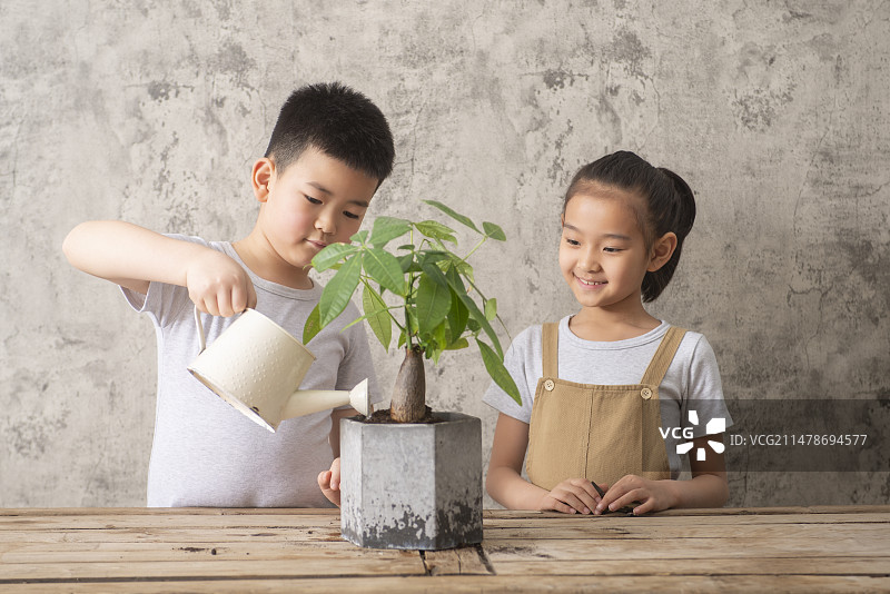 两个孩子正在给绿植浇水图片素材
