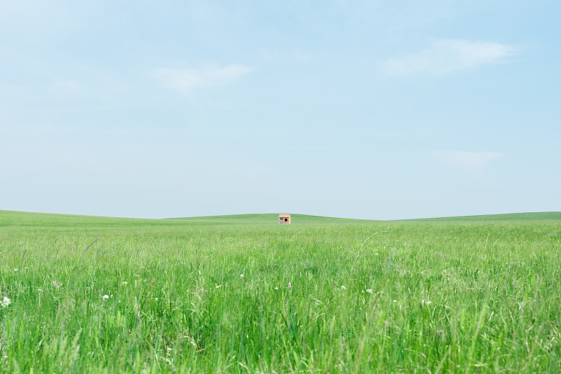 夏季绿色的内蒙古锡林郭勒大草原景色图片下载