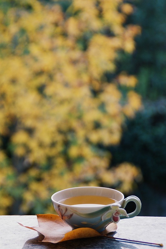 窗景:一杯烏龍茶和秋葉。圖片素材