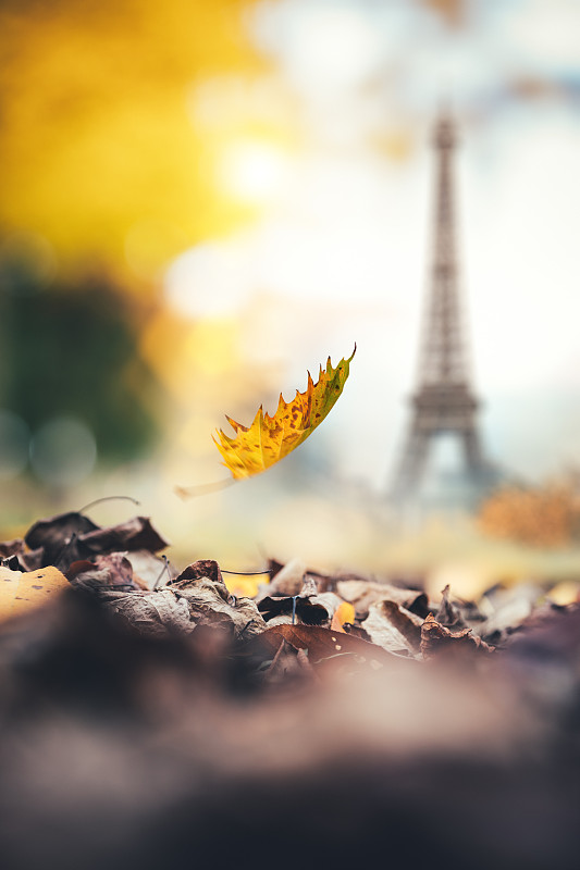秋天在巴黎圖片素材