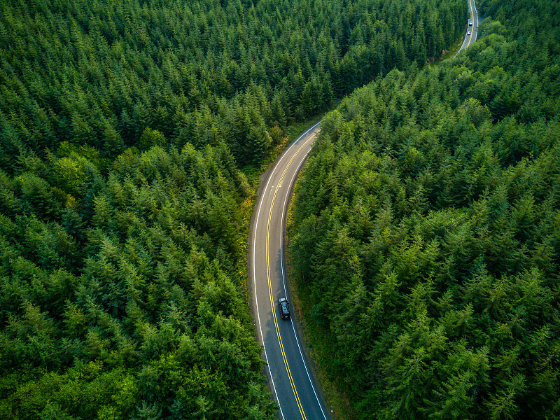 驾驶通过森林-鸟瞰图图片下载