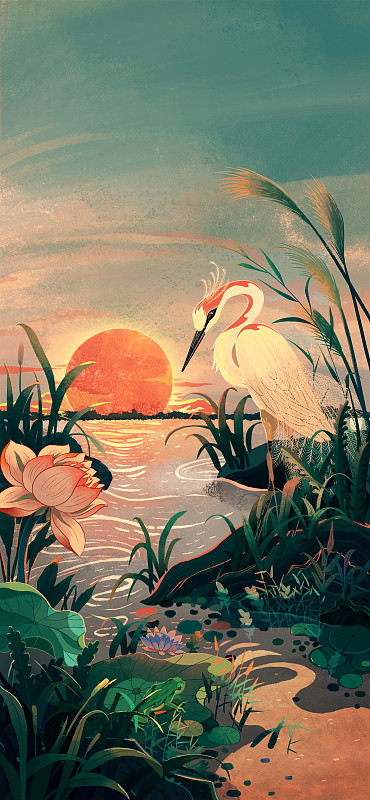 湖邊夕陽下的白鷺圖片素材