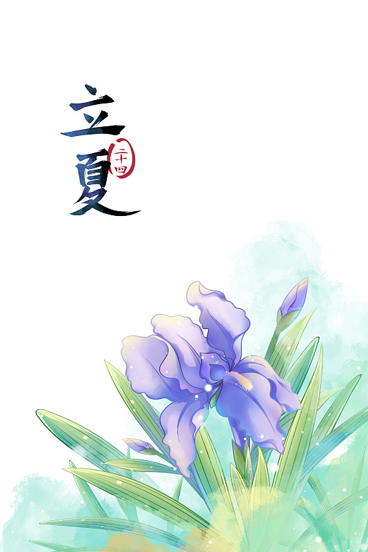 立夏——鳶尾花，古風水彩二十四節氣系列唯美花卉插畫圖片