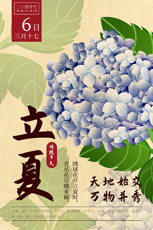 二十四節氣新中式植物海報-07立夏 -繡球花.psd圖片素材