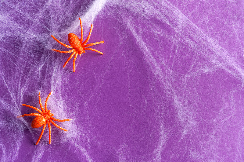 萬圣節背景由白色蜘蛛網和橙色閃閃發光的蜘蛛紫色。節日裝飾的概念?？植篮涂植赖谋尘芭c復制空間為您的設計攝影圖片