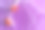 萬圣節背景由白色蜘蛛網和橙色閃閃發光的蜘蛛紫色。節日裝飾的概念?？植篮涂植赖谋尘芭c復制空間為您的設計攝影圖片