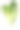 蔬菜:白色背景上孤立的長葉萵苣素材圖片