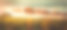 日落風景波爾多葡萄園法國素材圖片