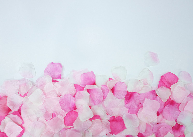 背景裝飾著粉紅色的花瓣圖片素材