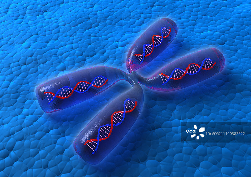 蓝色背景的染色体图片素材