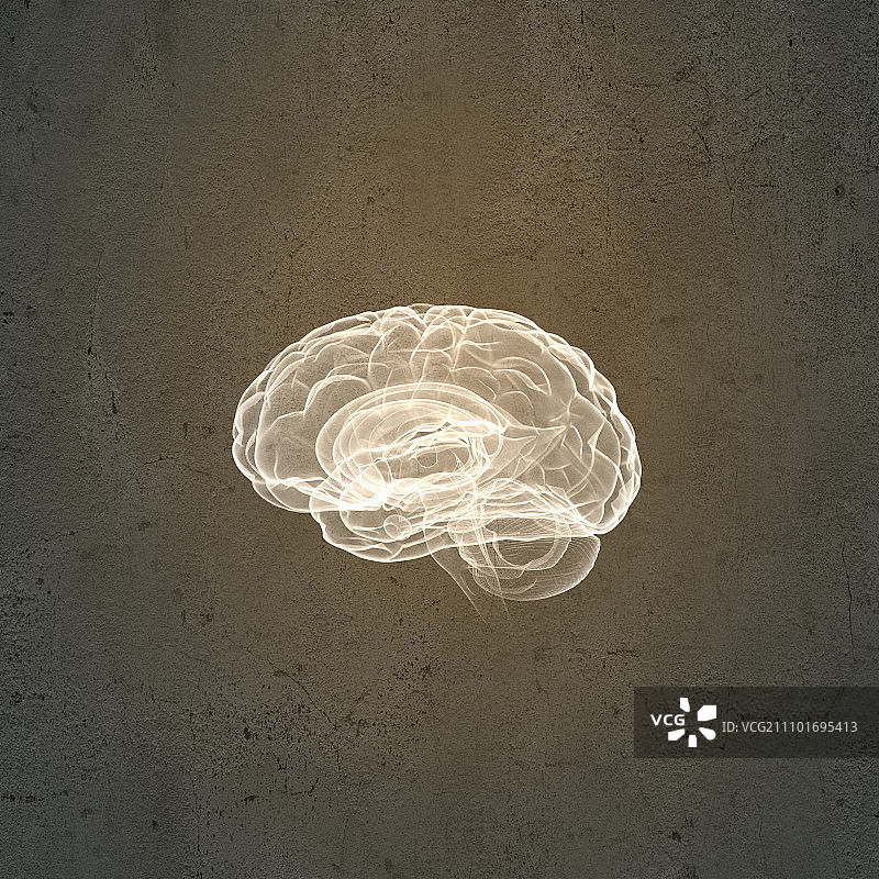 人类的大脑。灰色背景下的人脑概念图像图片素材