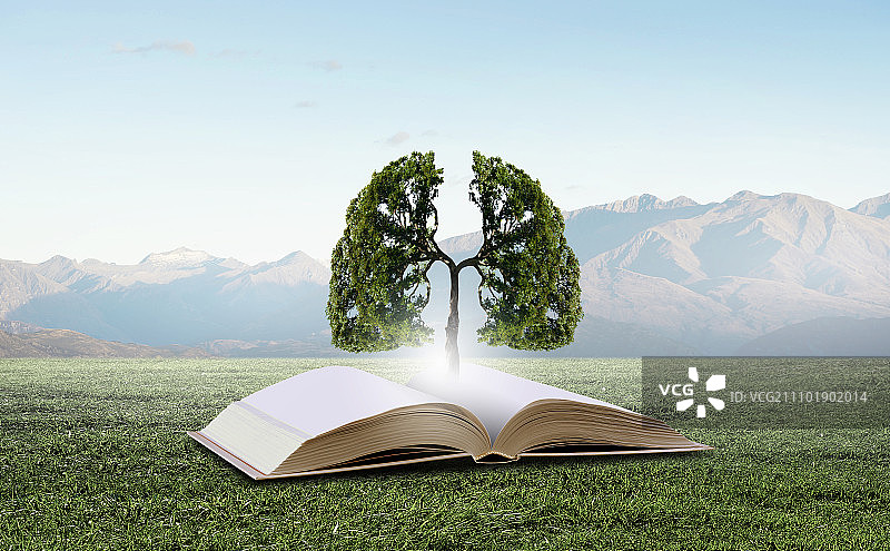 概念形象与绿树生长从书。阅读与自我教育图片素材