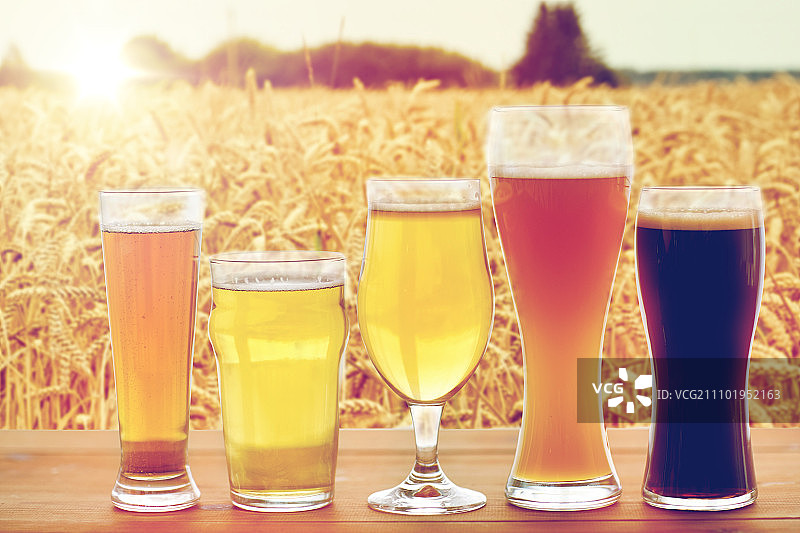啤酒厂，饮料和酒精概念-近距离不同的啤酒在杯子上的桌子在谷物田的背景图片素材