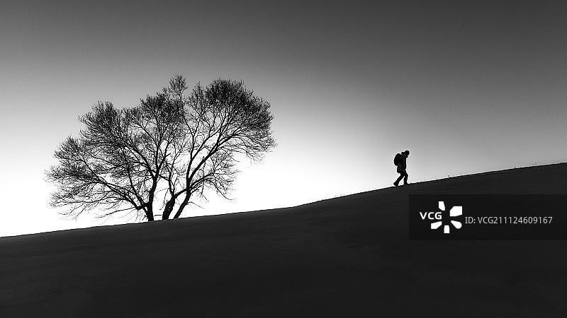 雪地孤树和独行的身影图片素材