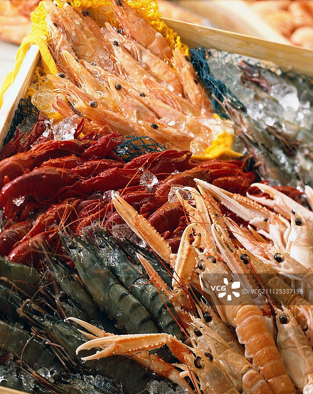 地中海对虾，小龙虾和都柏林湾对虾图片素材