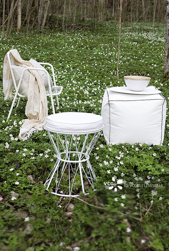 林地里的白色铁丝椅子和凳子，上面铺着木海葵图片素材