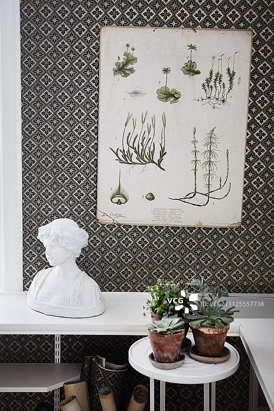 植物插图墙上装饰，图案墙纸上面的女人半身像和室内植物在小桌上图片素材