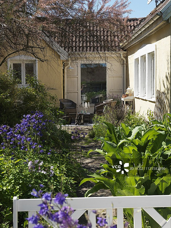 阳台上的柳条扶手椅对着房子façade和开花的aquilegia在夏季花园图片素材