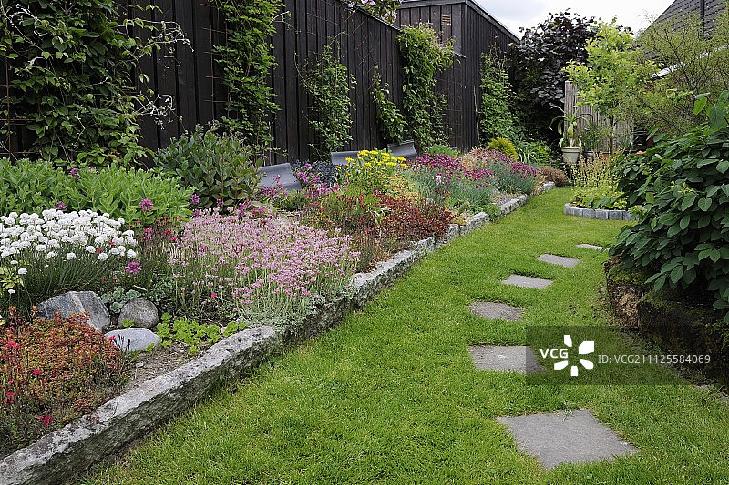 花坛植物与石围床和踏脚石在修剪草坪花园图片素材