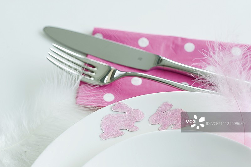 粉红色的兔子图案和精致的羽毛粘在板的边缘，用可拆卸的喷雾粘合剂作为复活节装饰图片素材