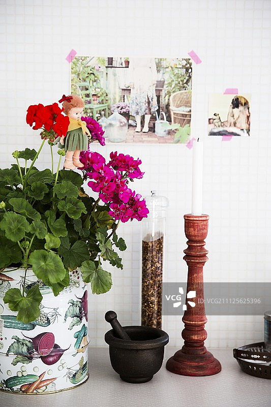 盆栽天竺葵，研钵研杵，胡椒磨和烛台图片素材