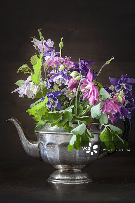 银质茶壶中的五彩花束图片素材