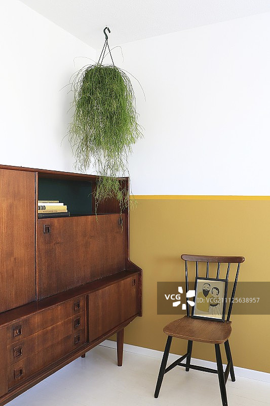 一株悬垂植物悬挂在带有黄色护墙板的复古橱柜上方图片素材