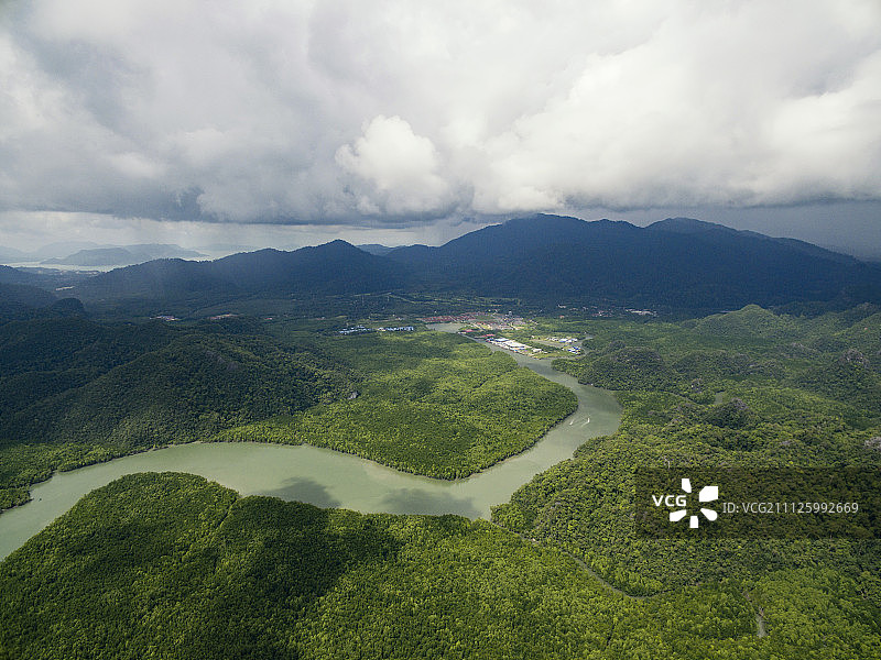 马来西亚兰卡威红树林图片素材