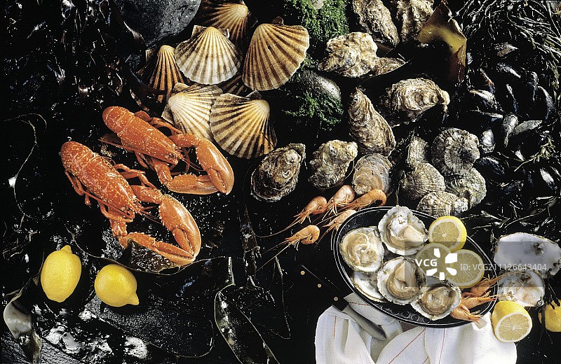 海鲜静物;虾和贝类图片素材