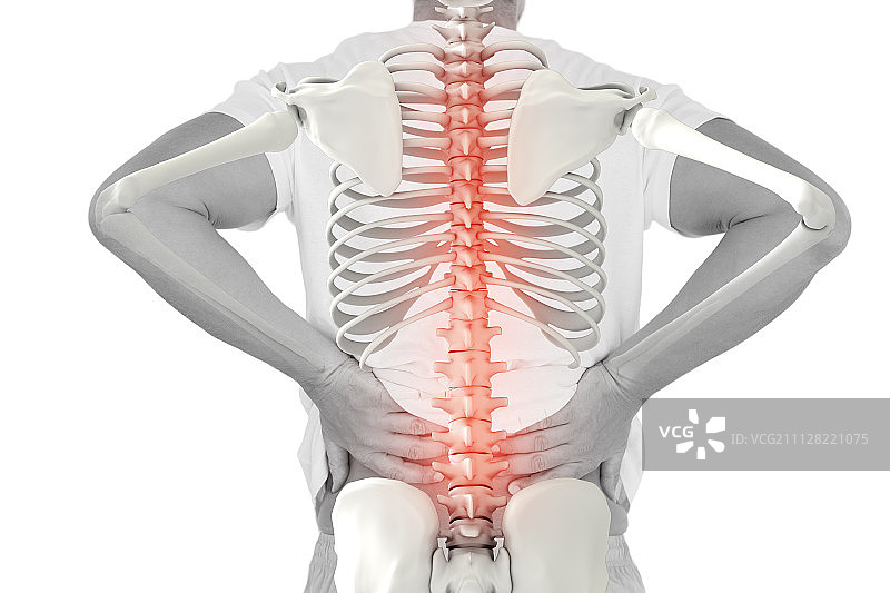 数字合成突出脊柱的男人与背部疼痛的白色背景图片素材