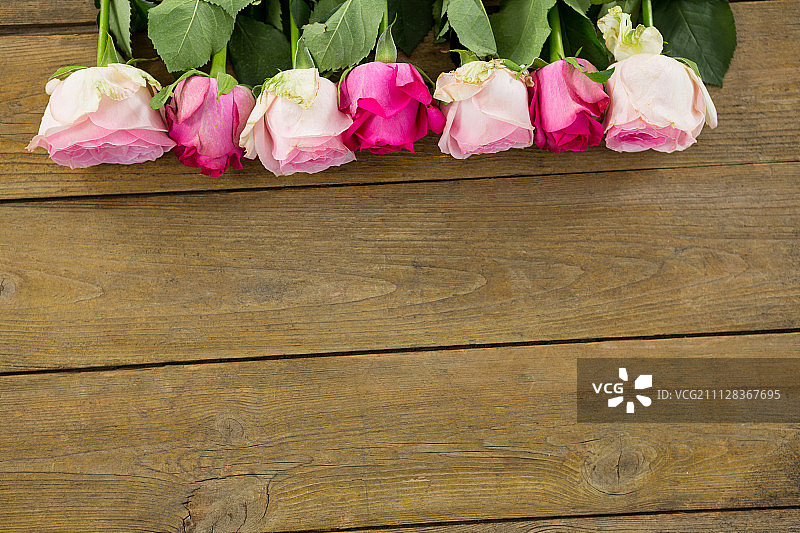 特写的粉红色玫瑰安排在木板上图片素材