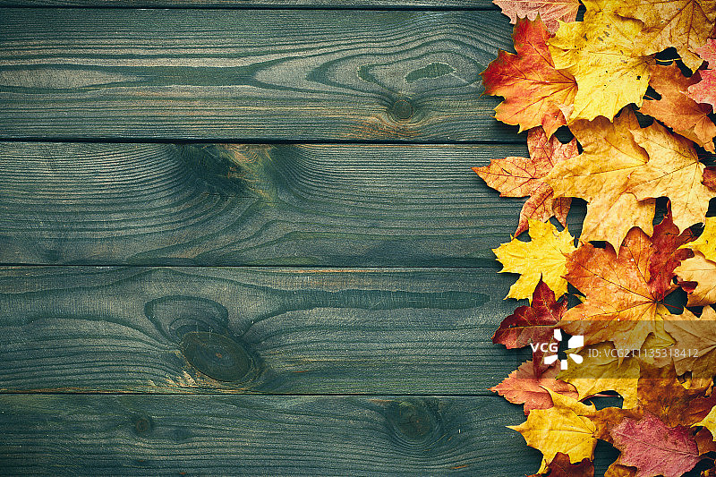 纹理复古乡村木质背景与秋天黄叶图片素材