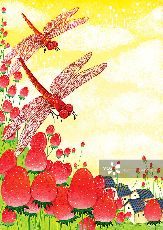 动物插画系列作品-红蜻蜓图片素材