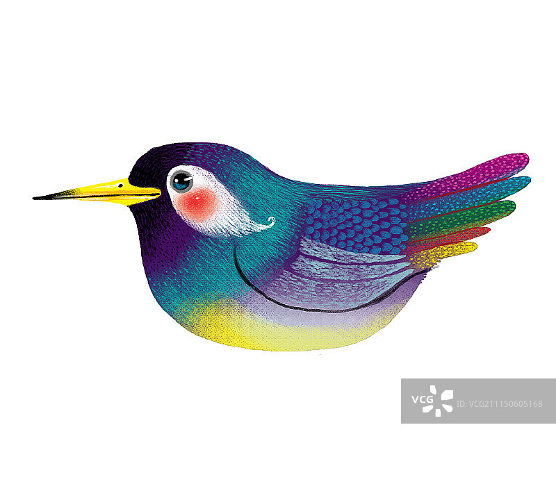 背景分离动物系列组图共3000多幅-五颜六色的鸟图片素材