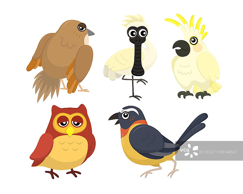 卡通鸟类集合素材，五种鲜艳鸟类图片素材