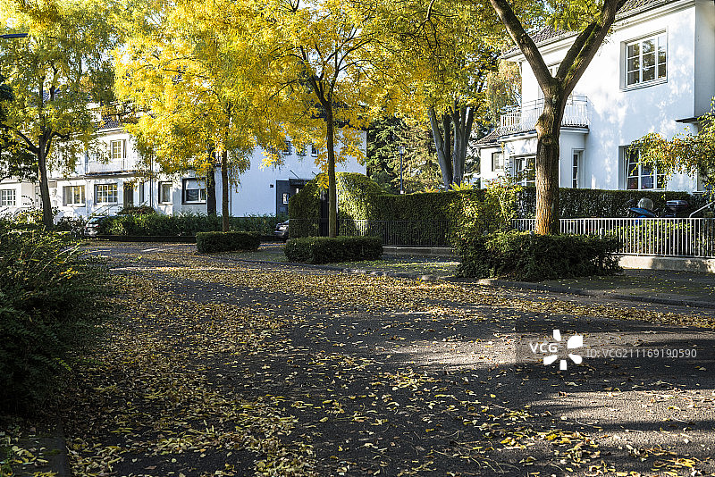 郊区公寓旁边的柏油路在秋天的时间图片素材