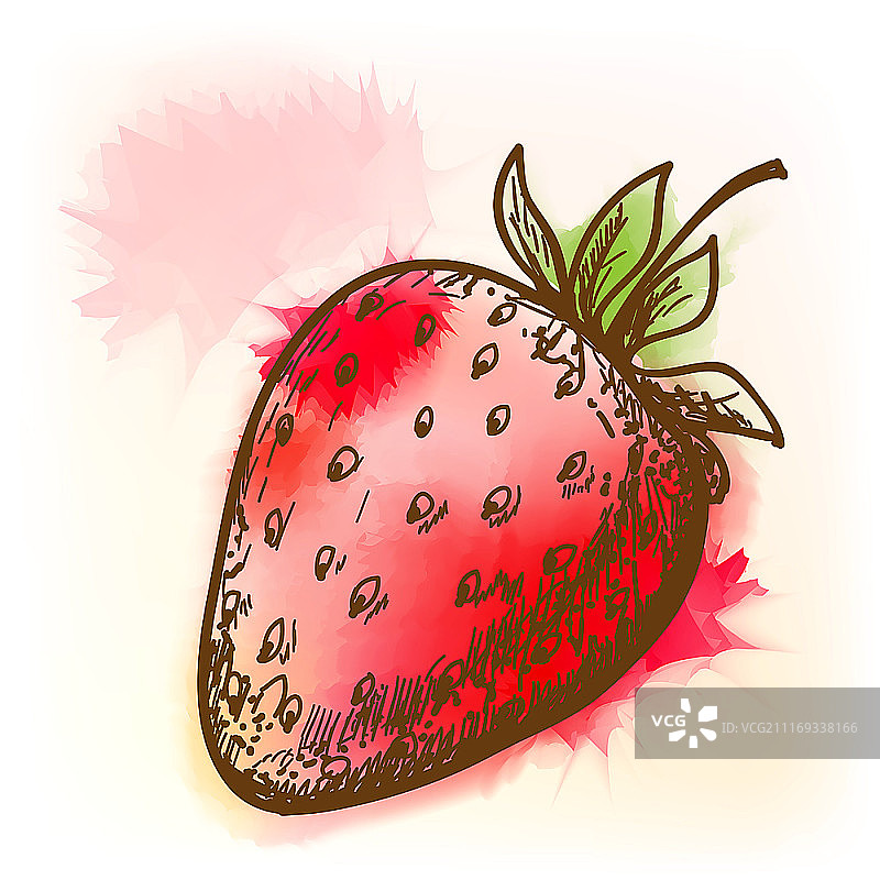 草莓、水彩画图片素材