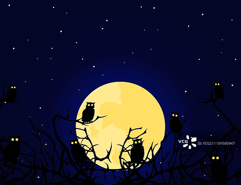 猫头鹰。猫头鹰晚上坐在树上。一个矢量插图图片素材