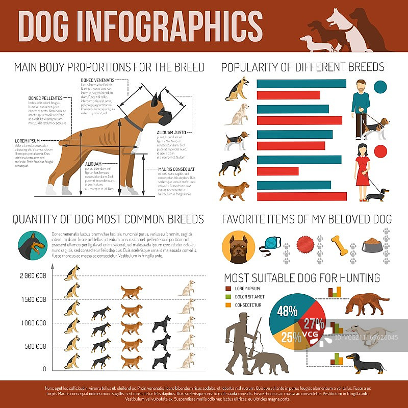 狗狗信息图。狗信息图设置品种符号和图表矢量插图图片素材