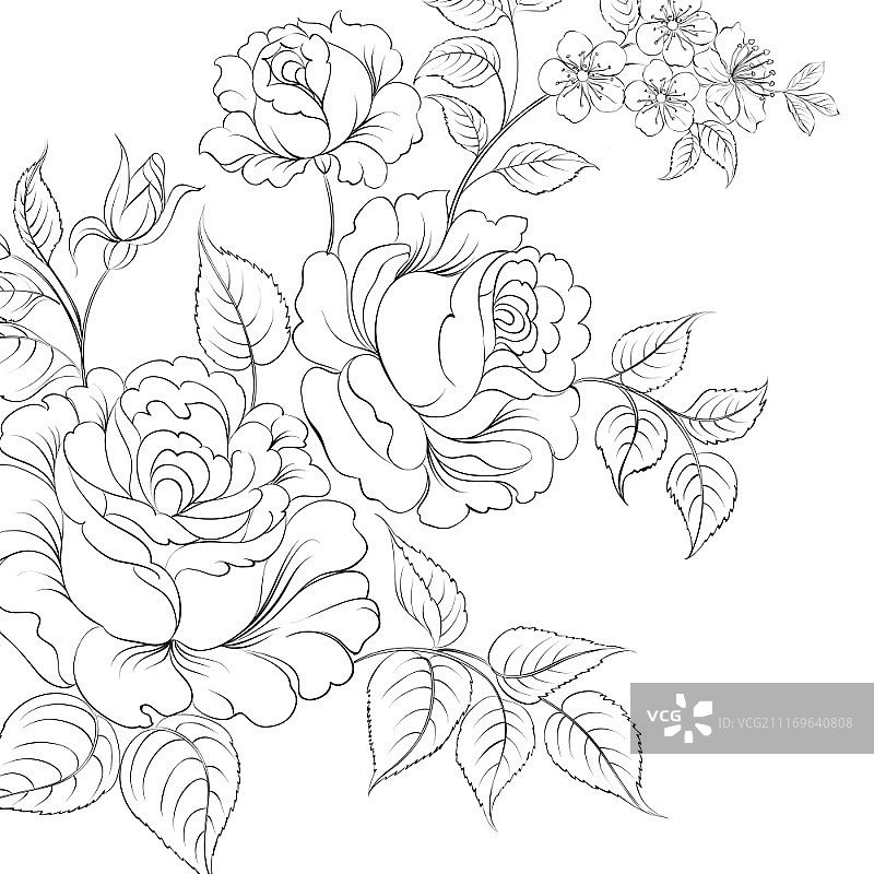 白色背景上的玫瑰花束。矢量插图。图片素材