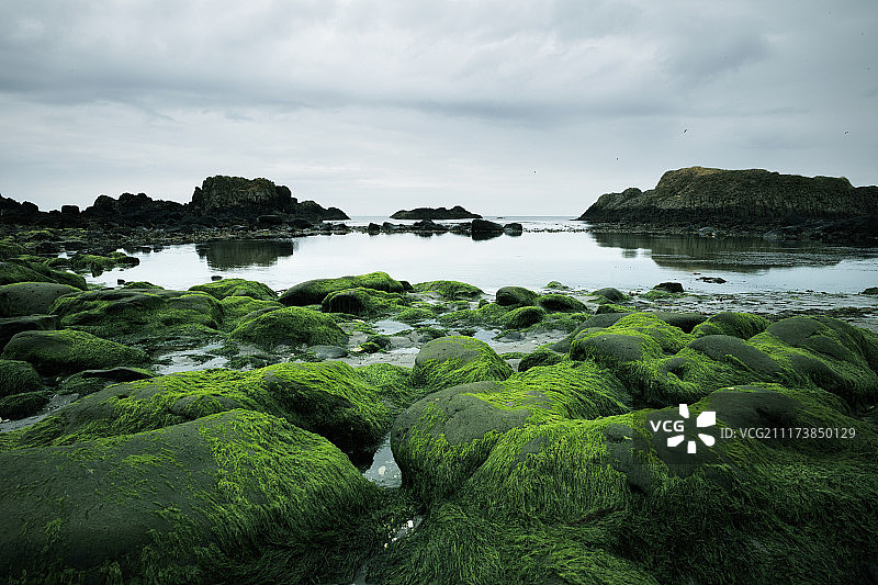 北爱尔兰巴林托伊港滩涂礁石图片素材