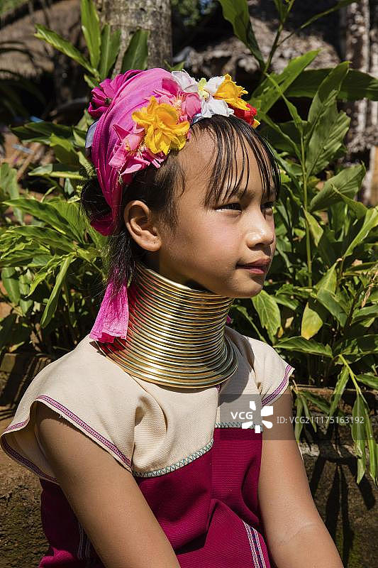 长颈凯伦，泰国北部清莱省，泰国，亚洲图片素材