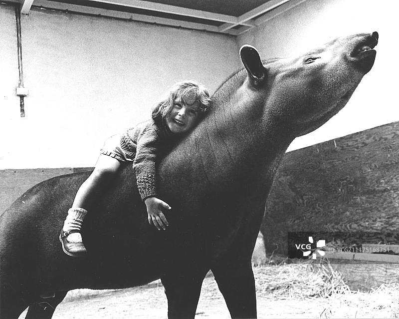 女孩骑在貘上，英格兰，大不列颠图片素材