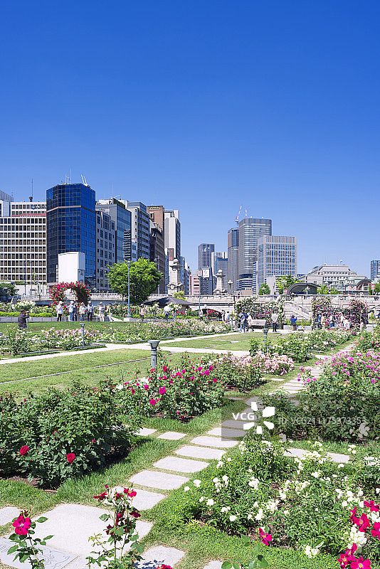 日本大阪中之岛公园的玫瑰园图片素材