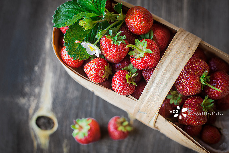 草莓从篮子里撒在木制的背景上图片素材