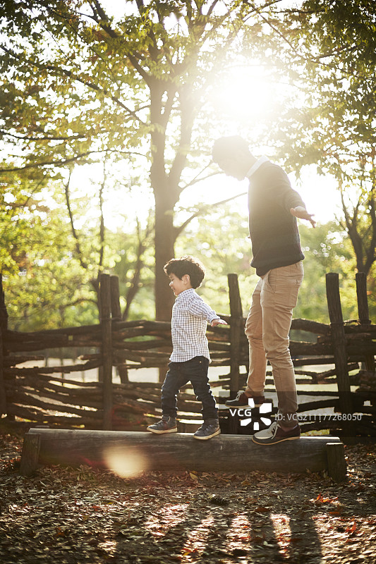 爸爸和小男孩在公园的树林里散步的照片图片素材