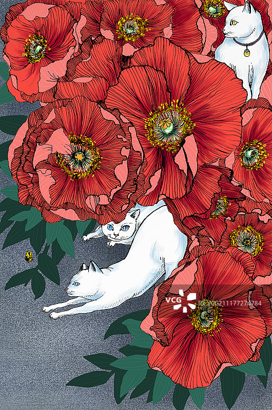 白猫与红花图片素材