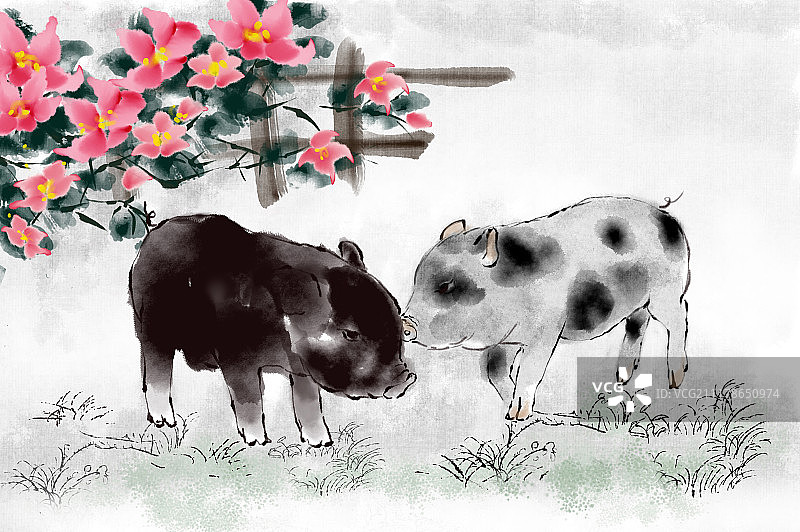 春节新年猪年图片素材