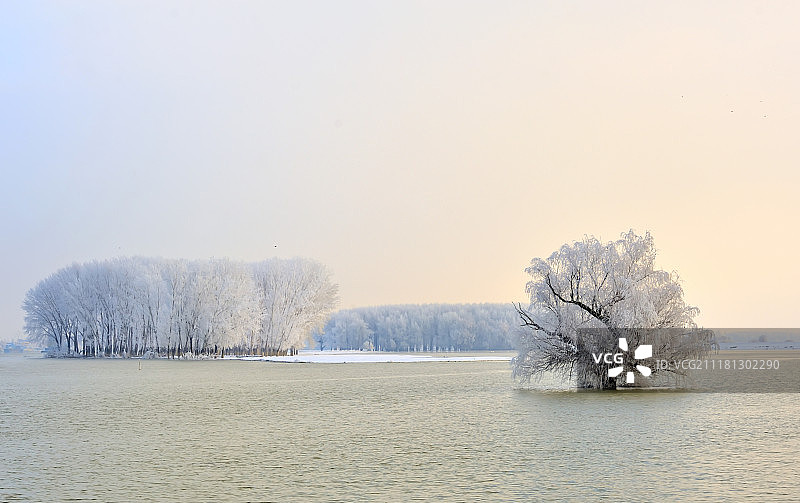 多瑙河和清晨结霜的树木图片素材